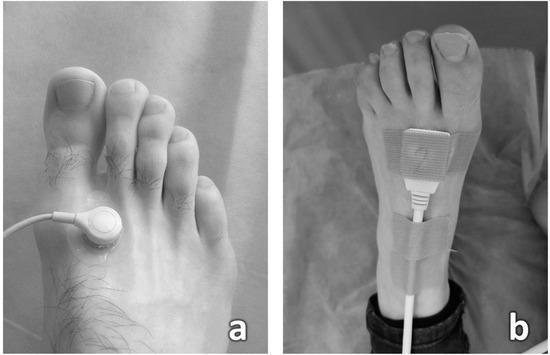 polina kitaeva feet 1