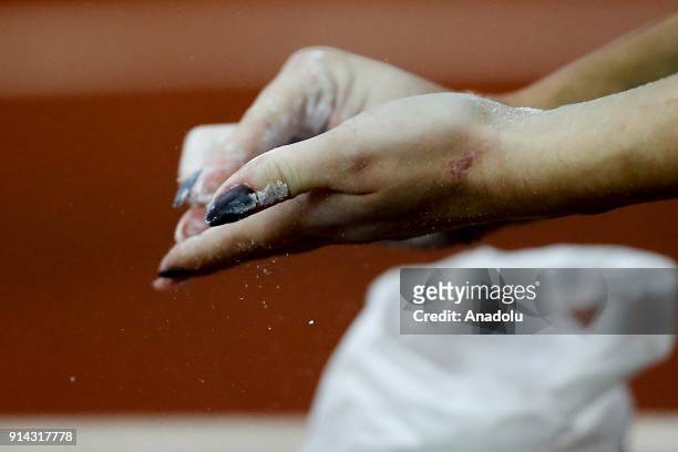 polina knoroz feet 2