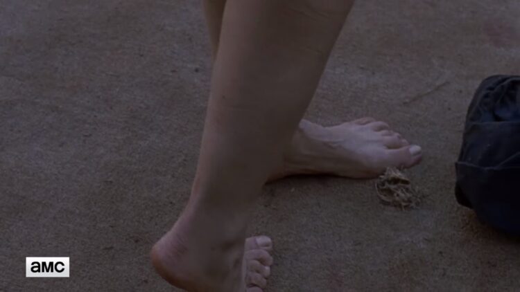 pollyanna mcintosh feet 1
