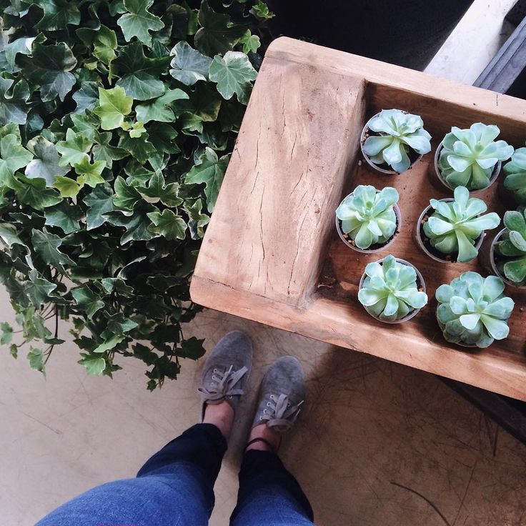 presley foskett feet 2