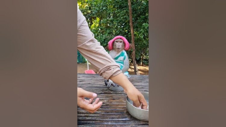 princess banh bao feet 1