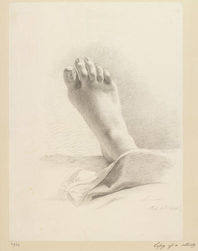 princess louise feet