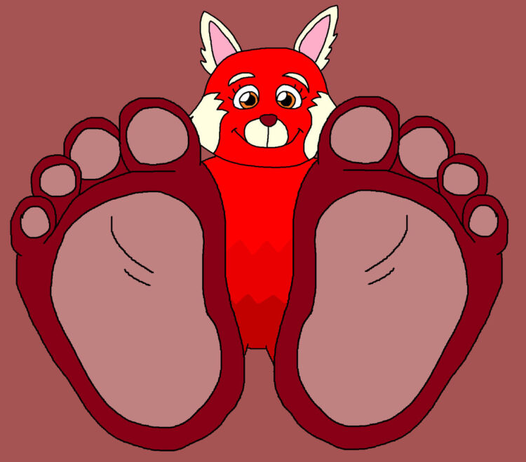 princess mei feet 4