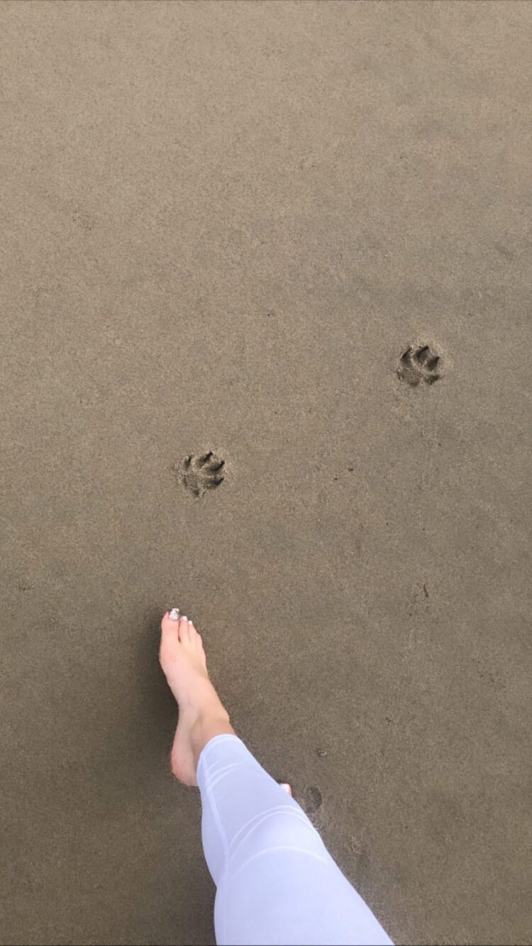 priscilla quintana feet 2