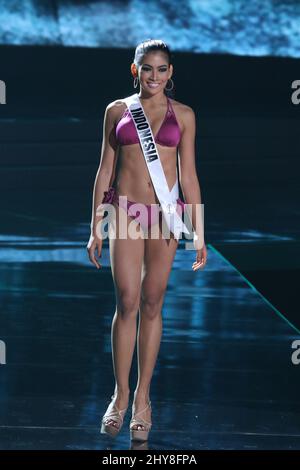 putri anindya feet 1