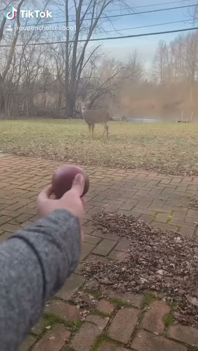 queenchelseaboo feet