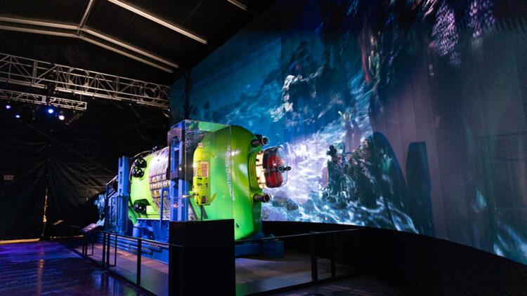 rachel camerron feet 4