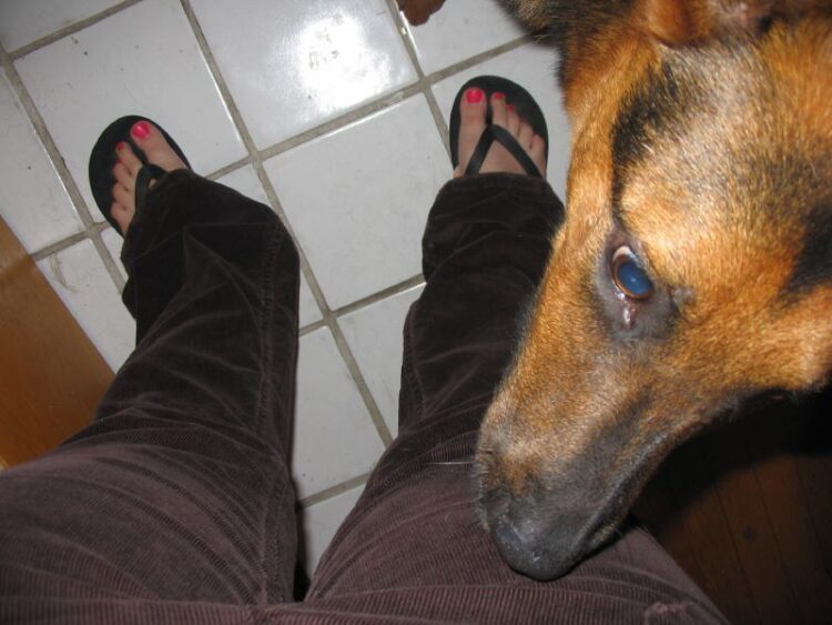 rachel catherine feet 6