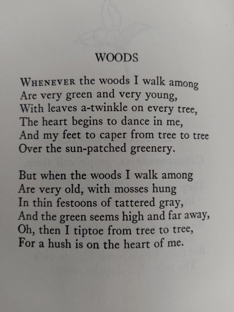 rachel field feet 1 scaled