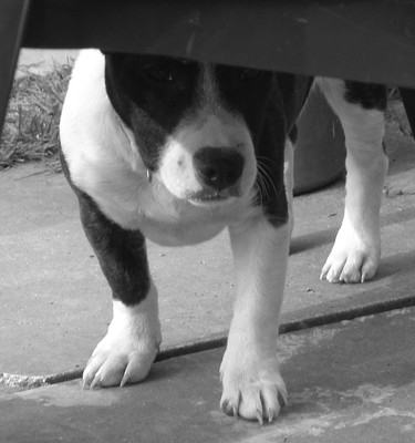 rachel goddard feet 4