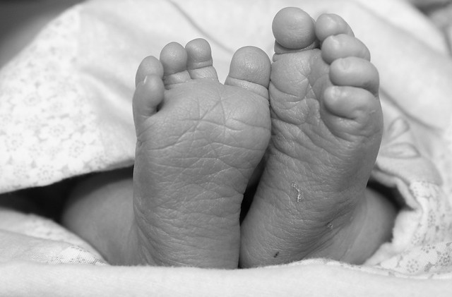 rachel morrison feet 6