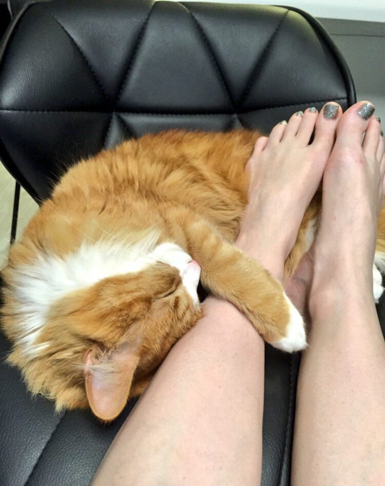 rachel rachelandjun feet