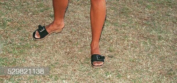 rae dawn chong feet 6