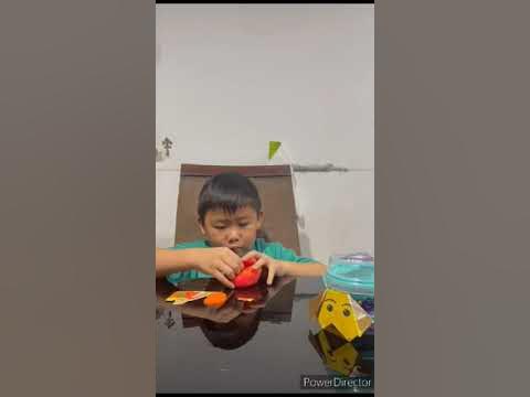 rainbowstarlilly feet