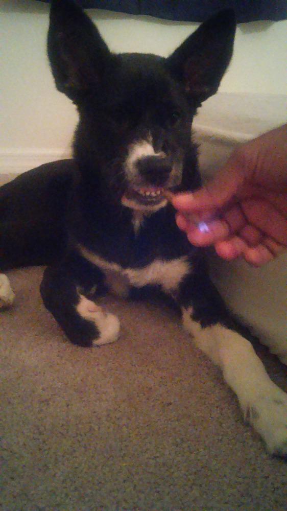 rebeca moreno feet 4