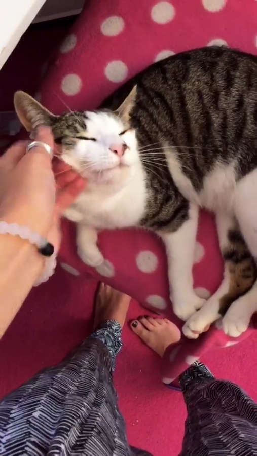 rebecca brown feet 6