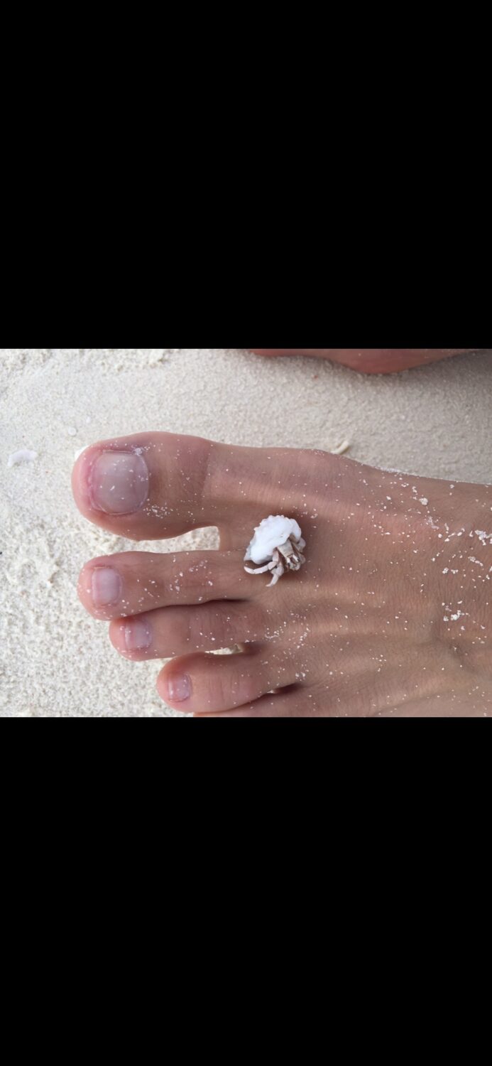 rebecca cardon feet 6