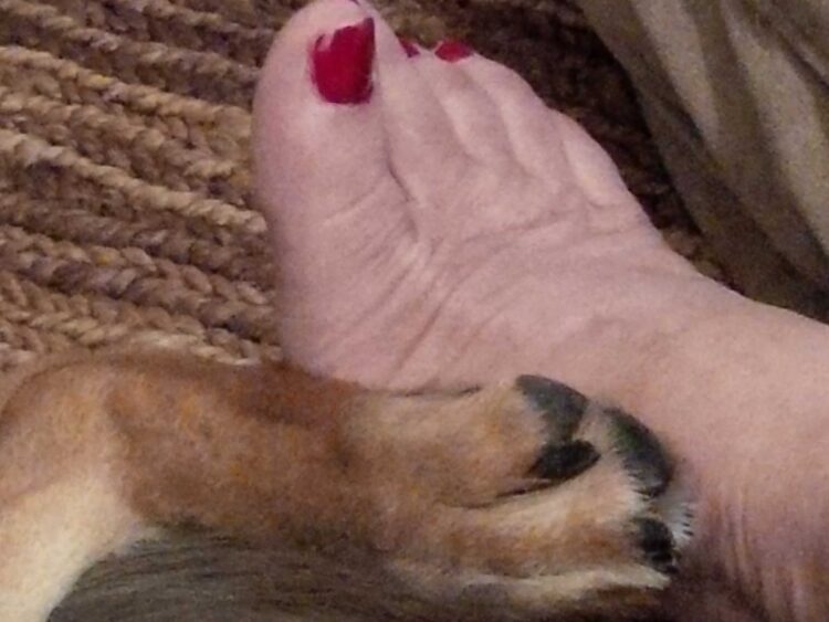 rebecca de alba feet 6