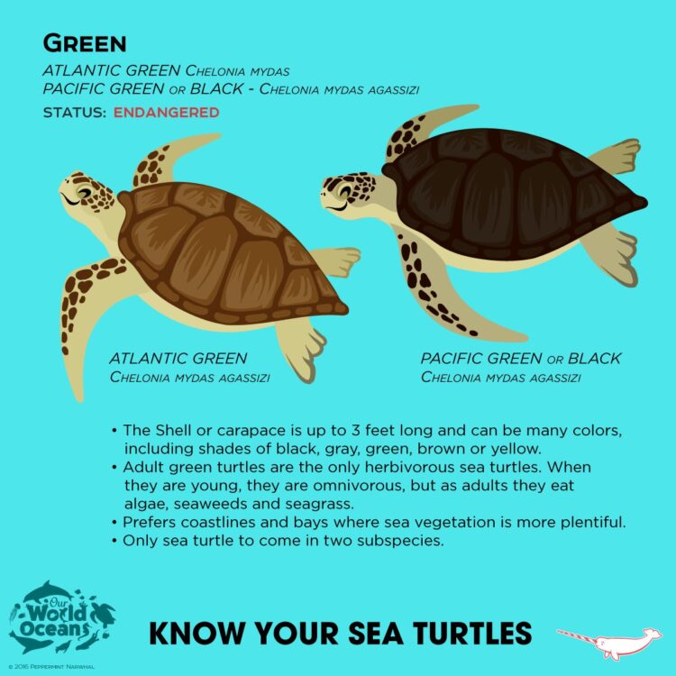 rebecca snell feet 3