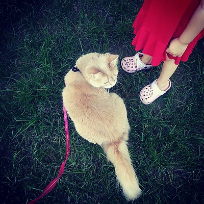 rebecca young feet 4