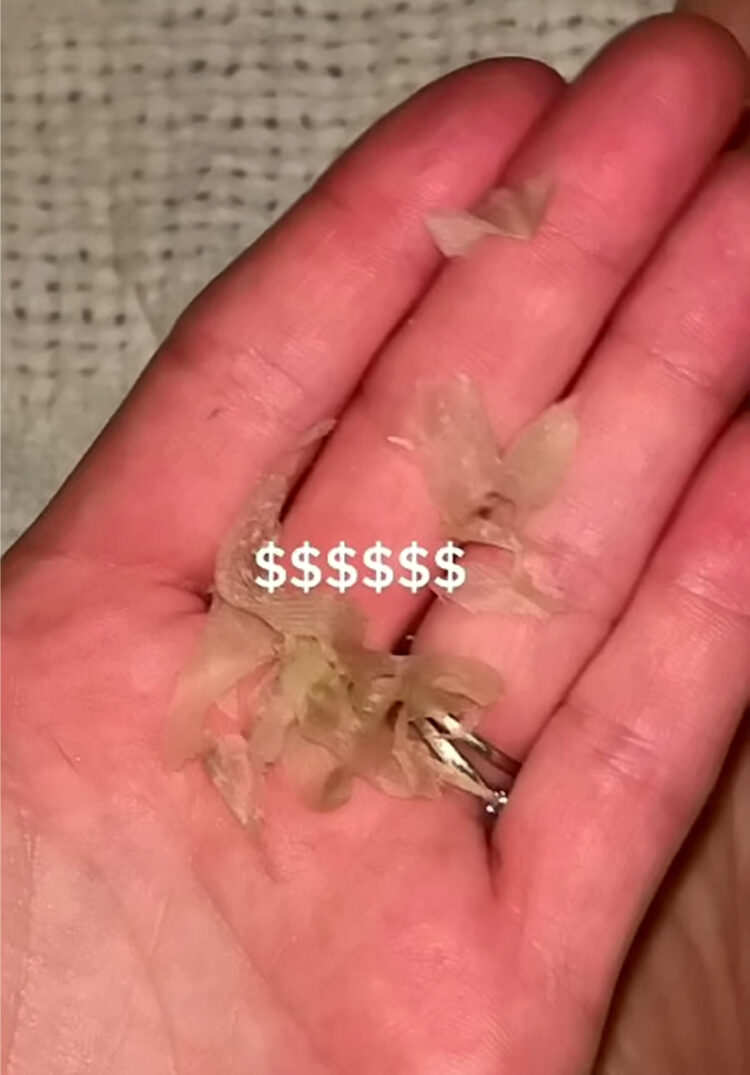 rebekka blue feet 3 scaled