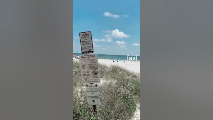 remie lou geha feet 1