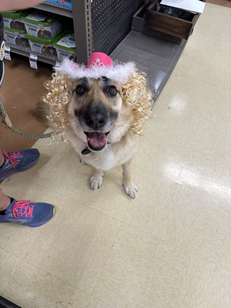 renae largent feet 4