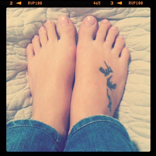 renata del bianco feet 1