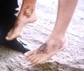 renee oconnor feet