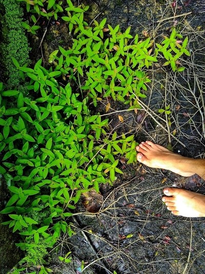 reshma muralidharan feet