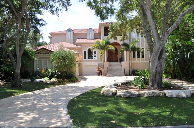 reyna leigh disalvo feet 2