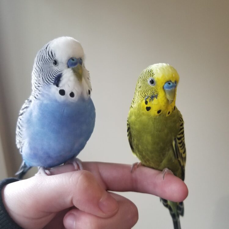 riana nicole feet 6 scaled