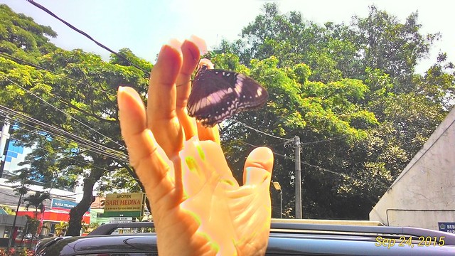 ricky santoso feet 4