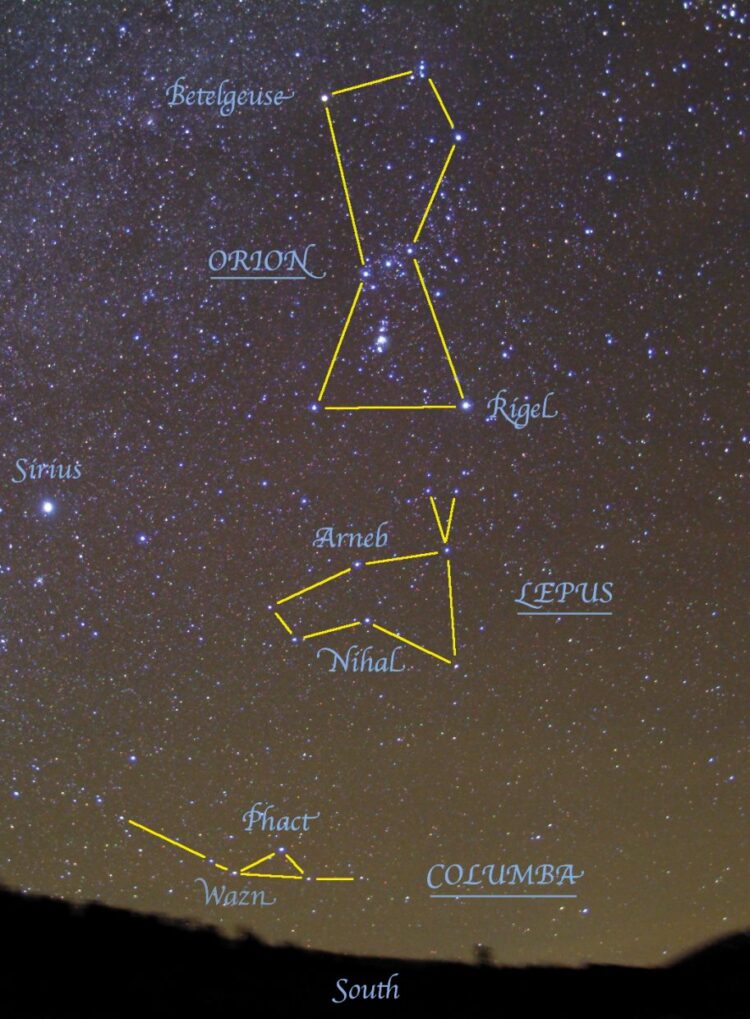 riegil lurion feet 5