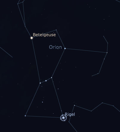 riegil lurion feet 6