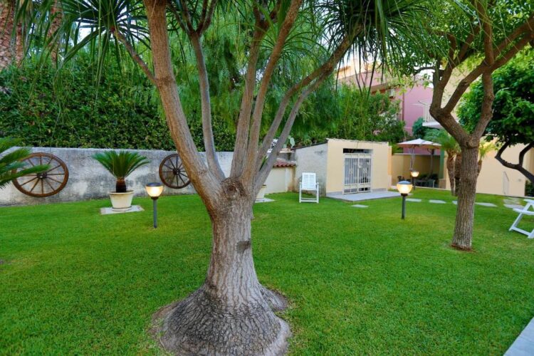 roberta mercurio feet 6