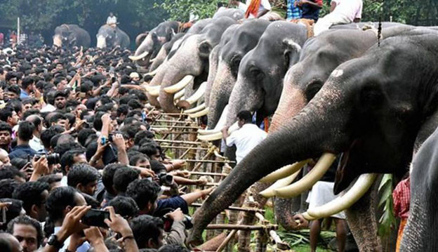 rochelle owens feet 5