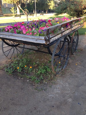 rocio padilla feet 5