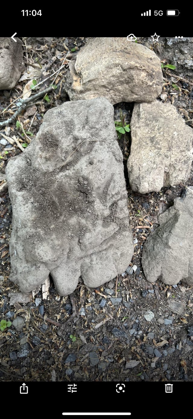 rockyoutcrop feet