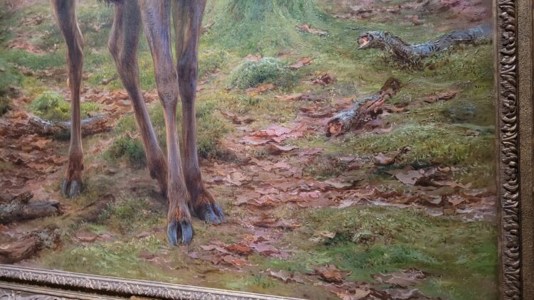 rosa bonheur feet 1