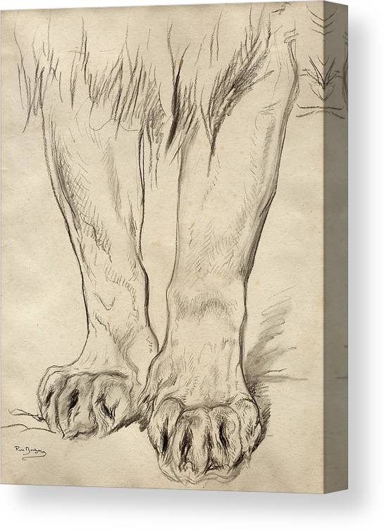 rosa bonheur feet