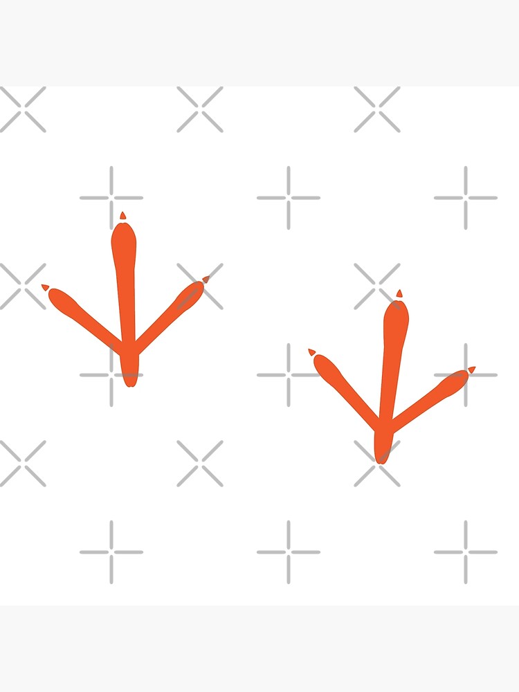 rose sharples feet 3