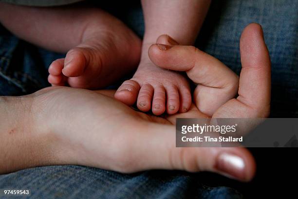 rose van rijn feet 6