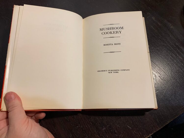 rosetta reitz feet 4 scaled