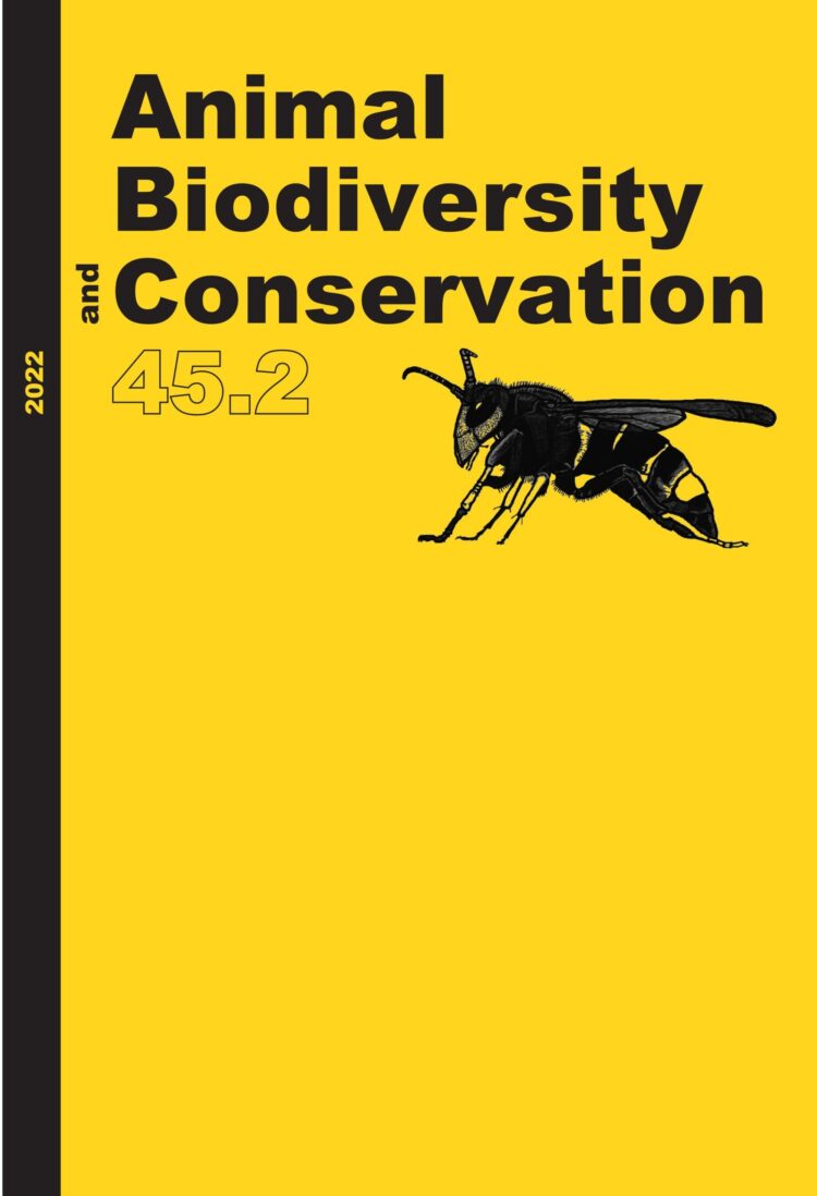 rox realiza pastrano tan feet 5 scaled