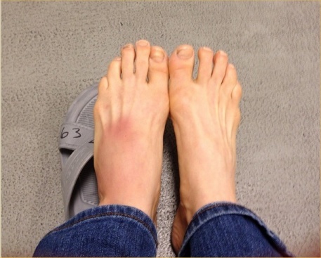 roxanne modafferi feet 1