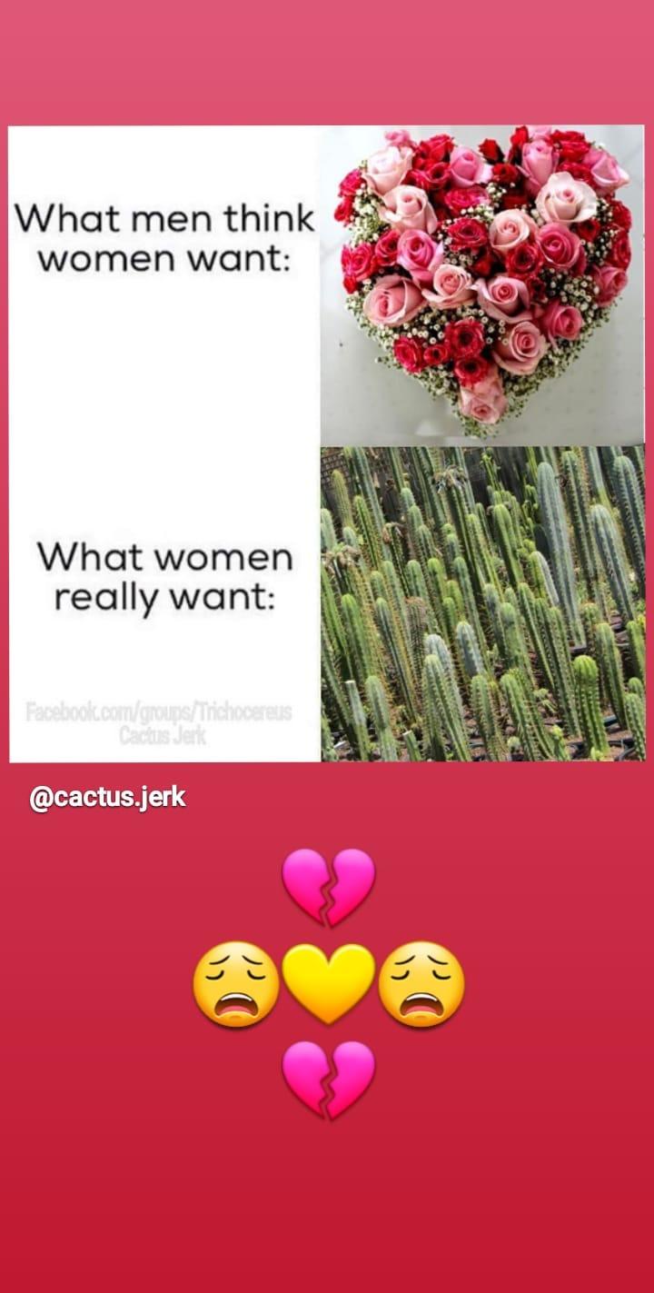 roza vasilishina feet 5