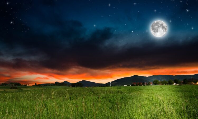 rumaisa ghazali feet 5