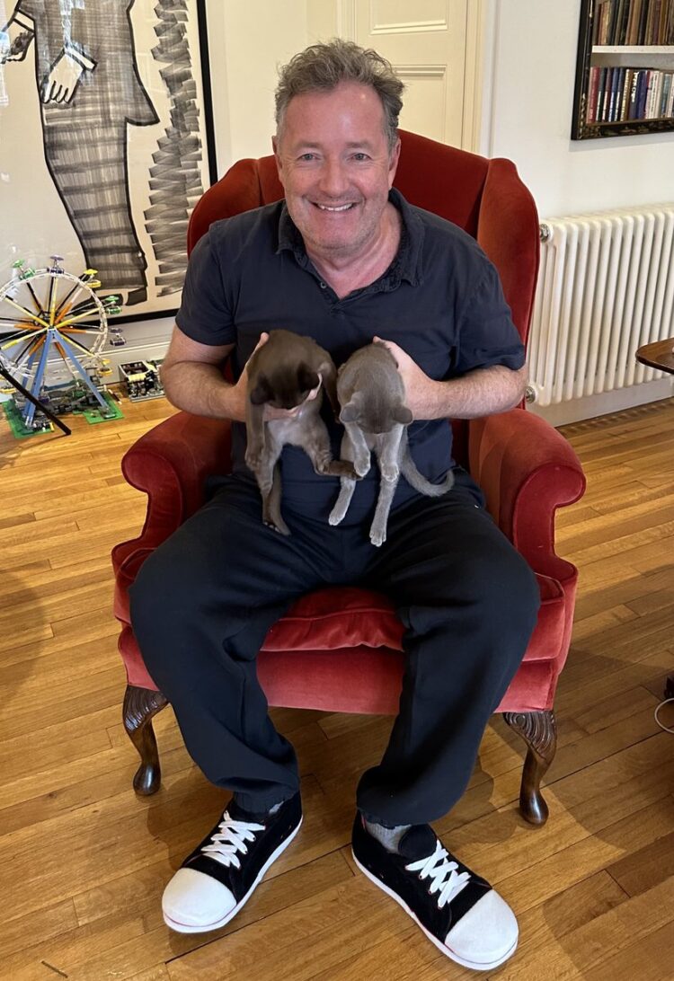 rya nightingale feet 5