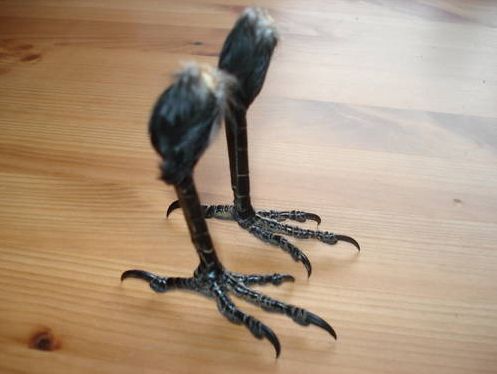 sabina ahumada feet 6